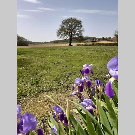 Gite Du Clos Baste Moncaup (Pyrenees-Atlantiques) Exterior foto
